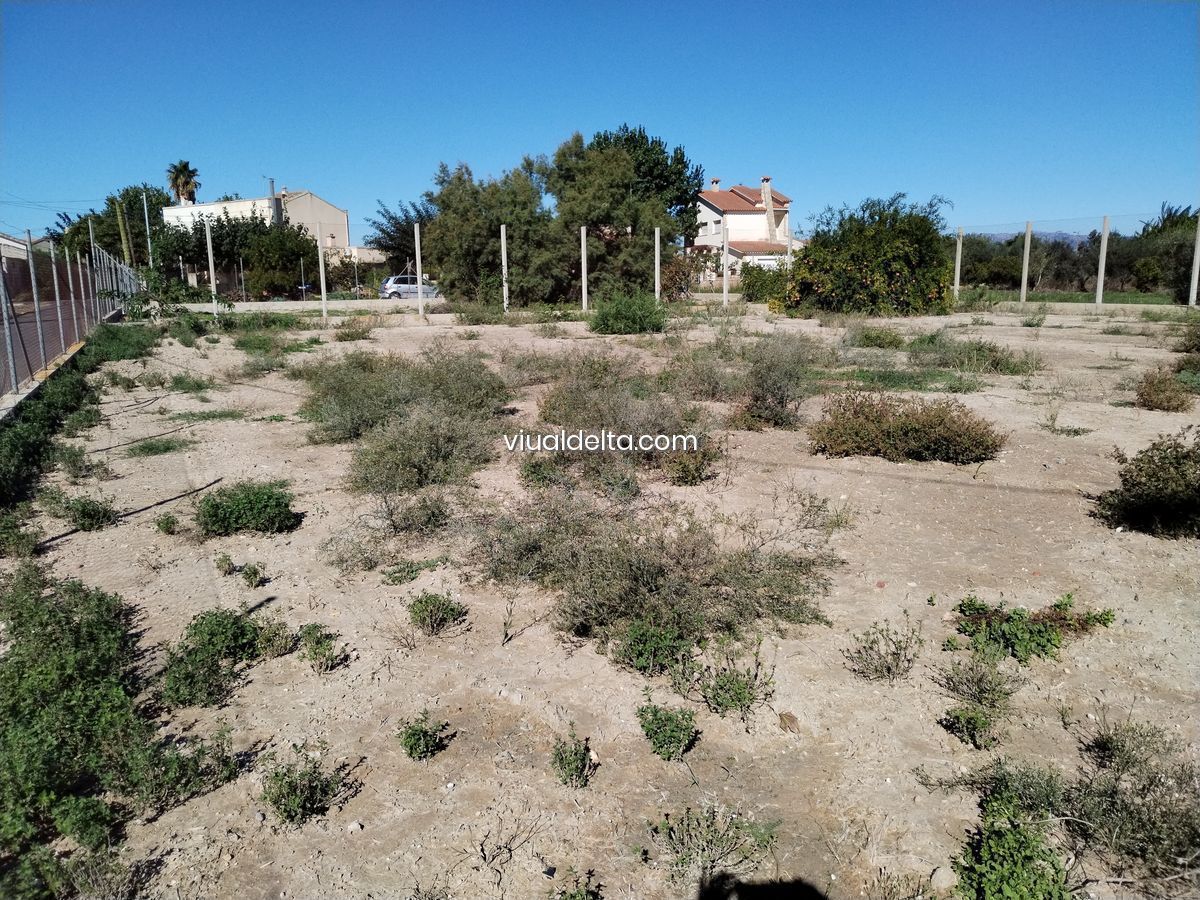 foto5